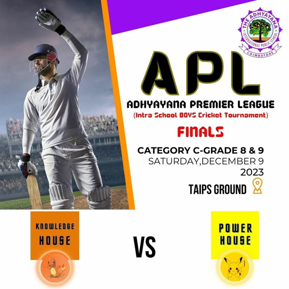 Cricket Showdown