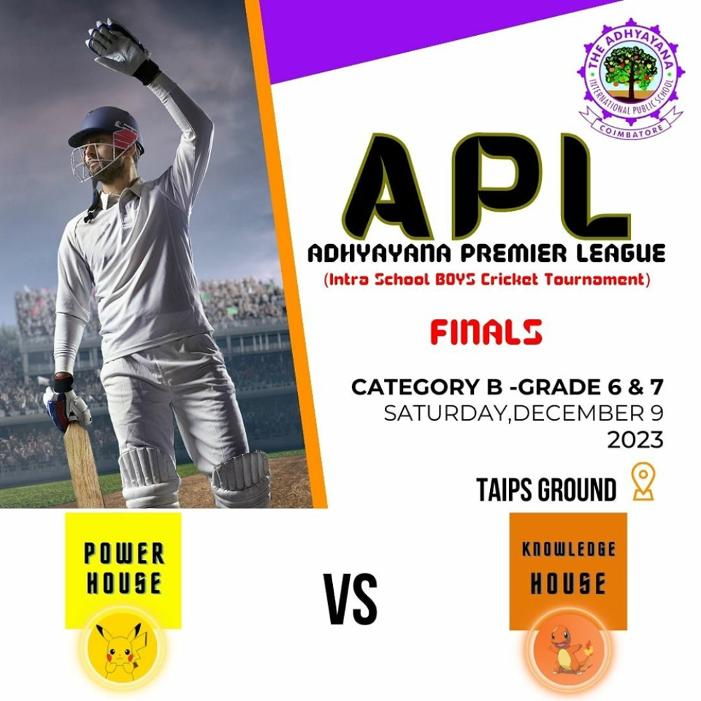 Cricket Showdown
