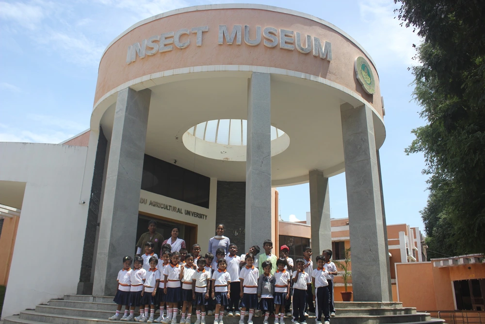 Grade 1 and 4 Exciting Field Trips Grade 1 and 4 Exciting Field Trips