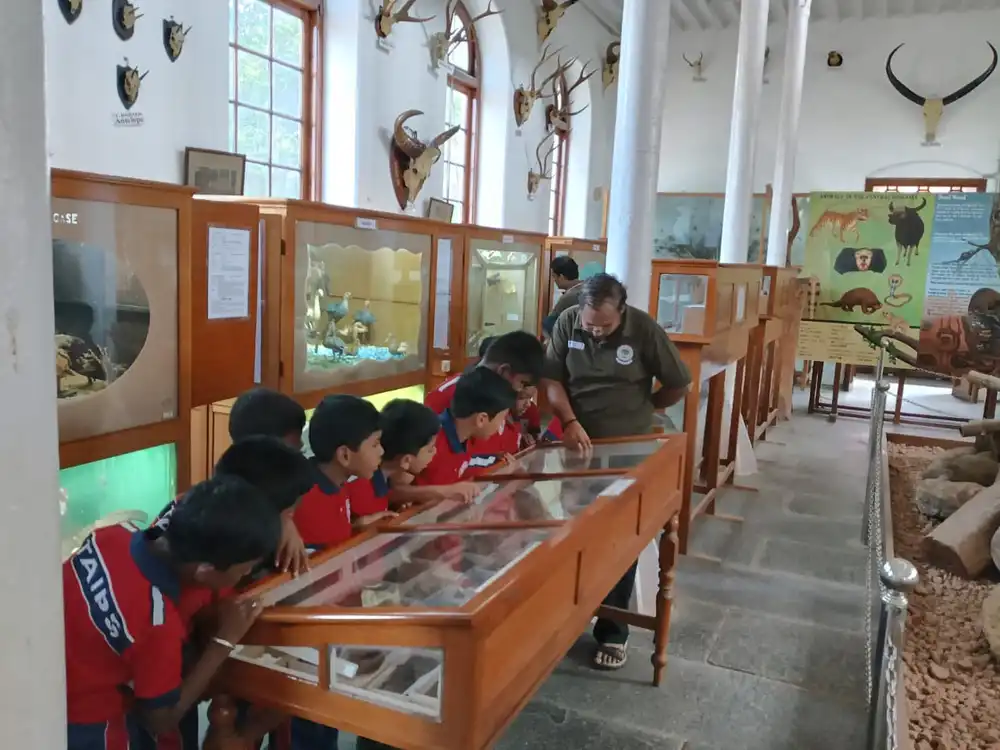 Gass Forest Museum Grade 2