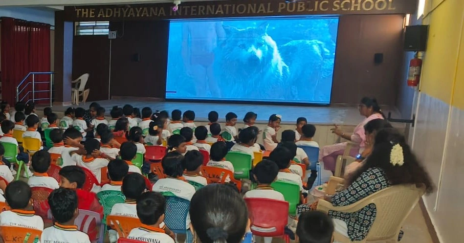 Jungle Book in school