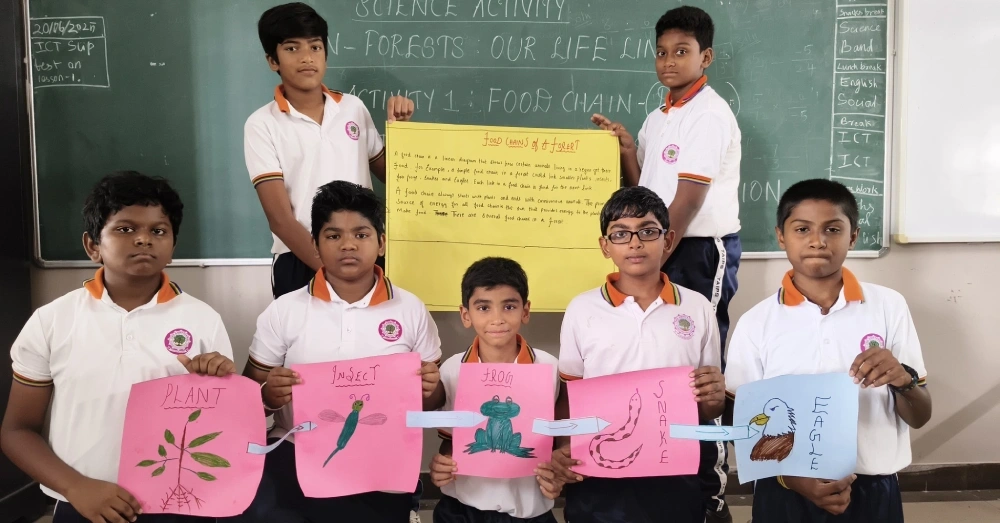 Role Play on Forest Exploitation & Food Web