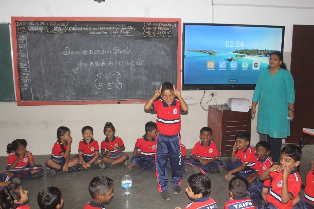 Creative Tamil Activity