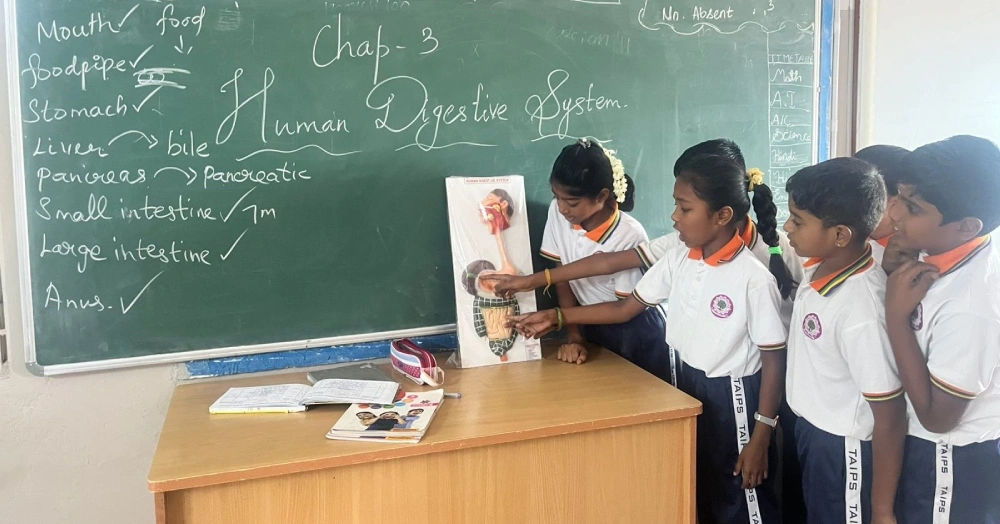 Human Digestive System
